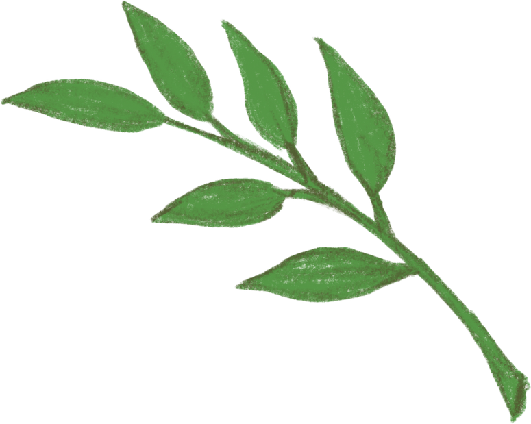 Green Leaves Illustration