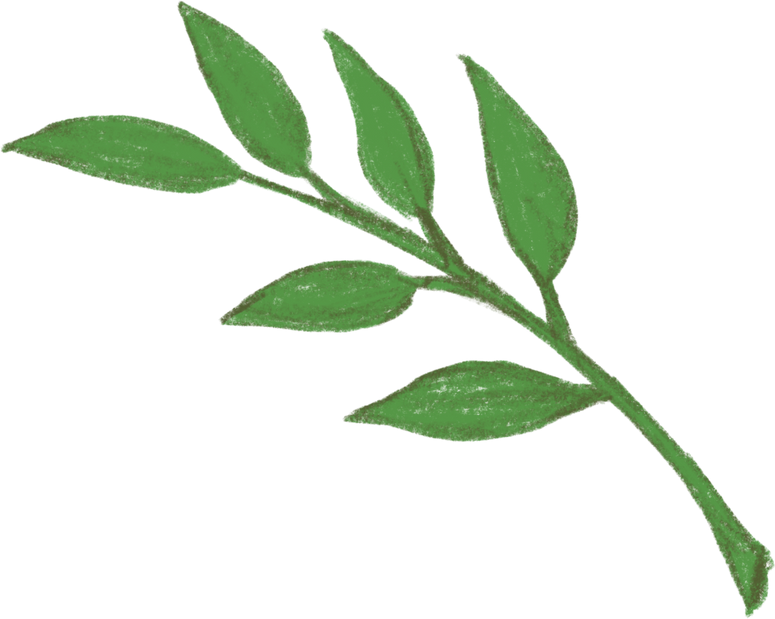 Green Leaves Illustration